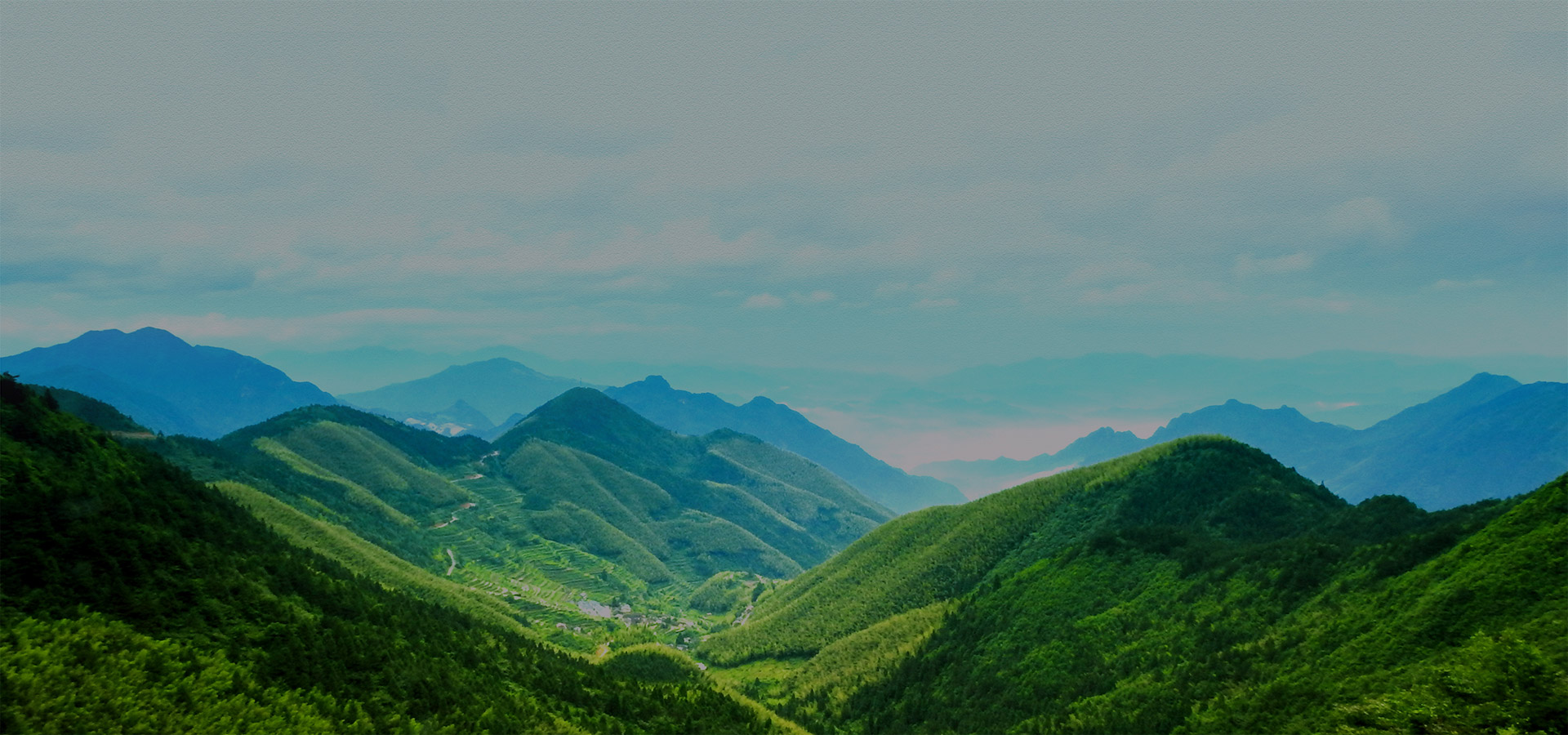 科技型企業(yè)